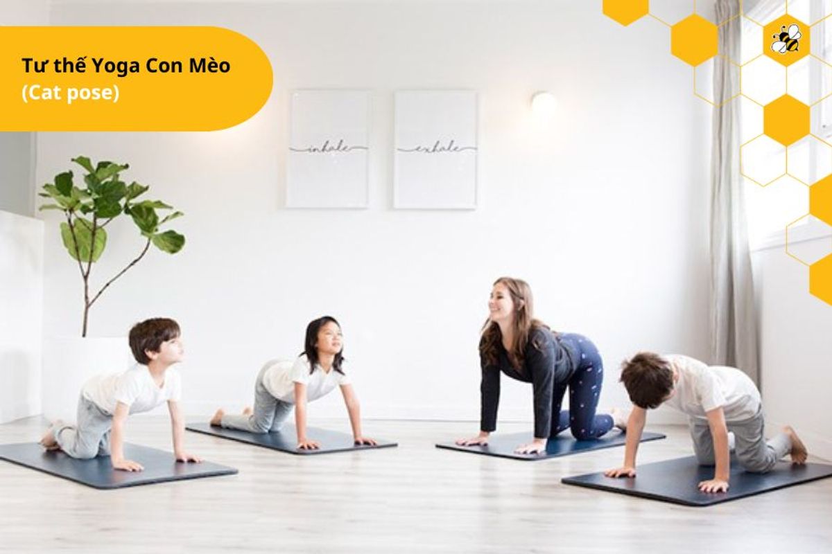 Tư thế Yoga Con Mèo (Cat pose)