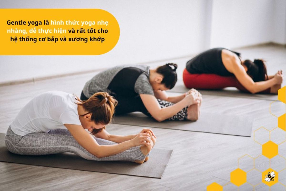 Gentle yoga là hình thức yoga nhẹ nhàng, dễ thực hiện và rất tốt cho hệ thống cơ bắp và xương khớp