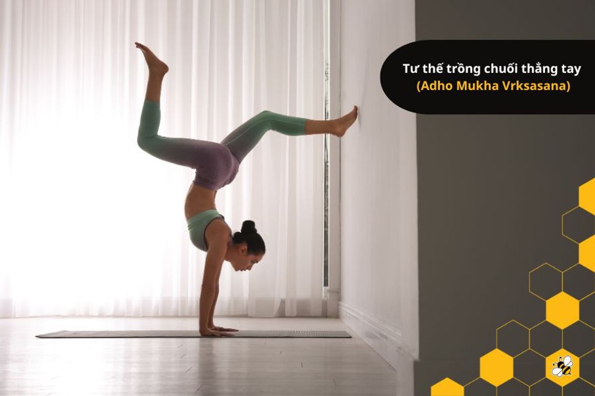 Tư thế trồng chuối thẳng tay  (Adho Mukha Vrksasana)