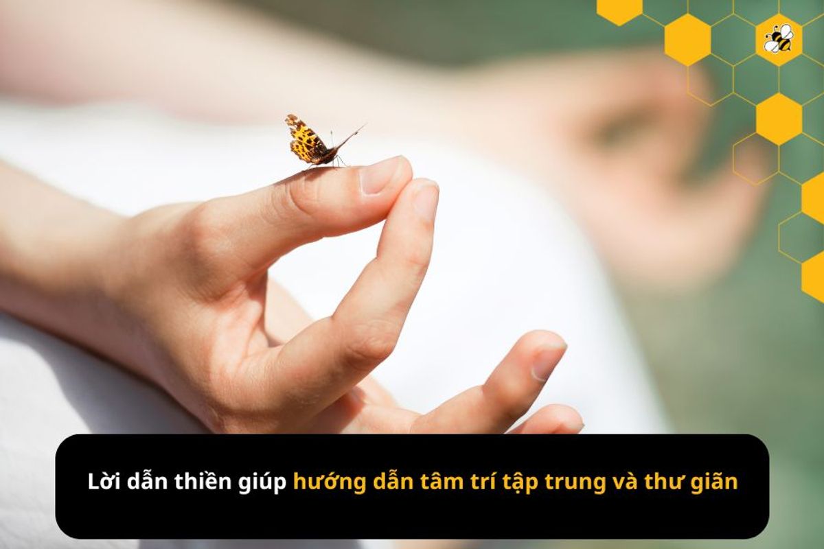 Lời dẫn thiền giúp hướng dẫn tâm trí tập trung và thư giãn