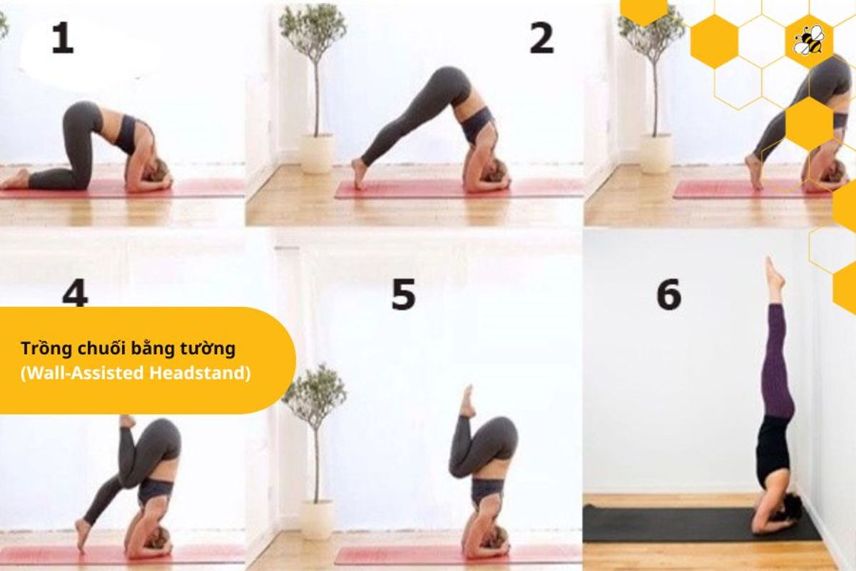 Trồng chuối bằng tường (Wall-Assisted Headstand)