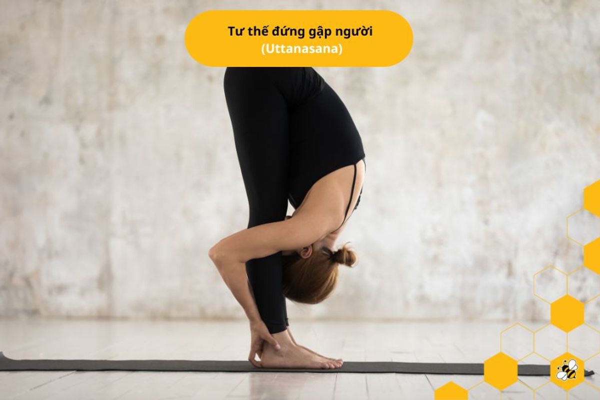 Tư thế đứng gập người (Uttanasana)