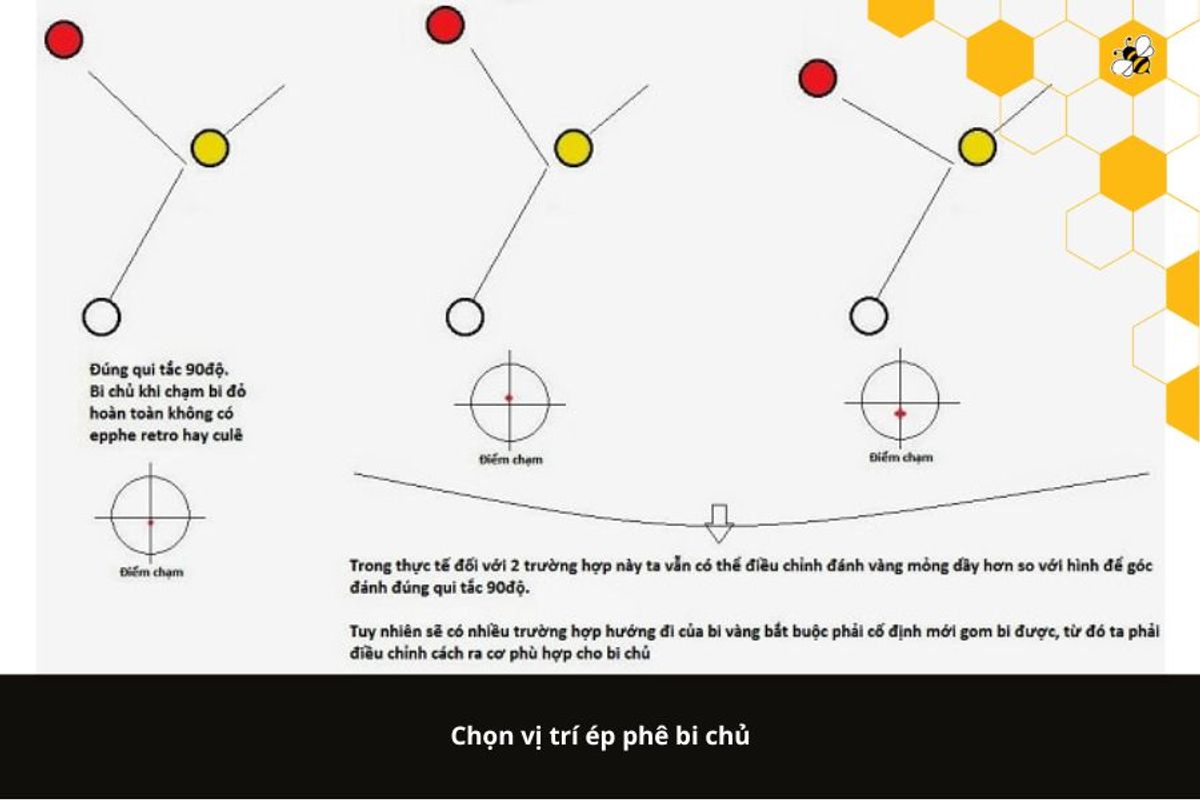 Chọn vị trí ép phê bi chủ
