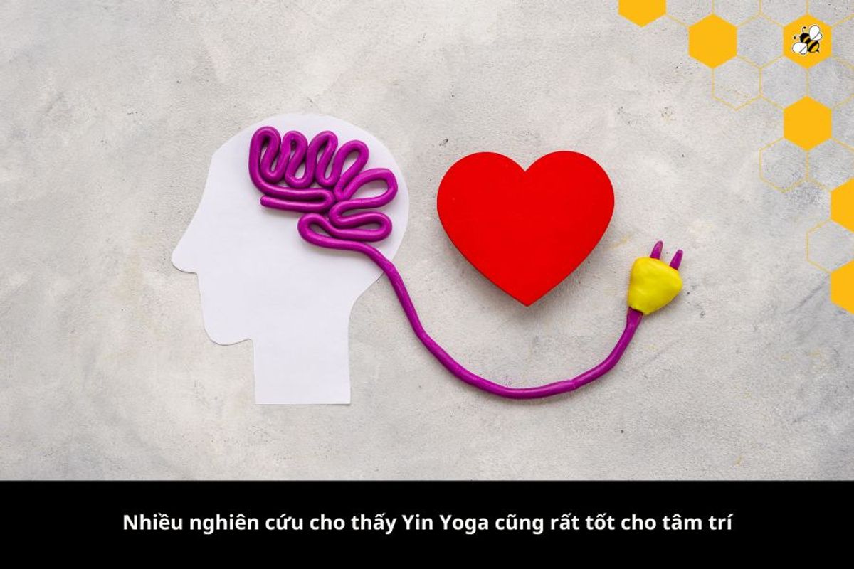 Nhiều nghiên cứu cho thấy Yin Yoga cũng rất tốt cho tâm trí