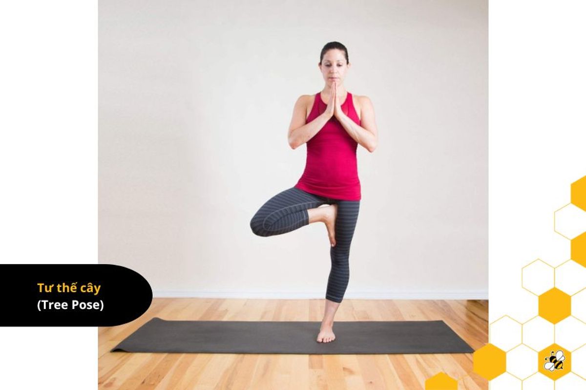 Tư thế cây (Tree Pose)