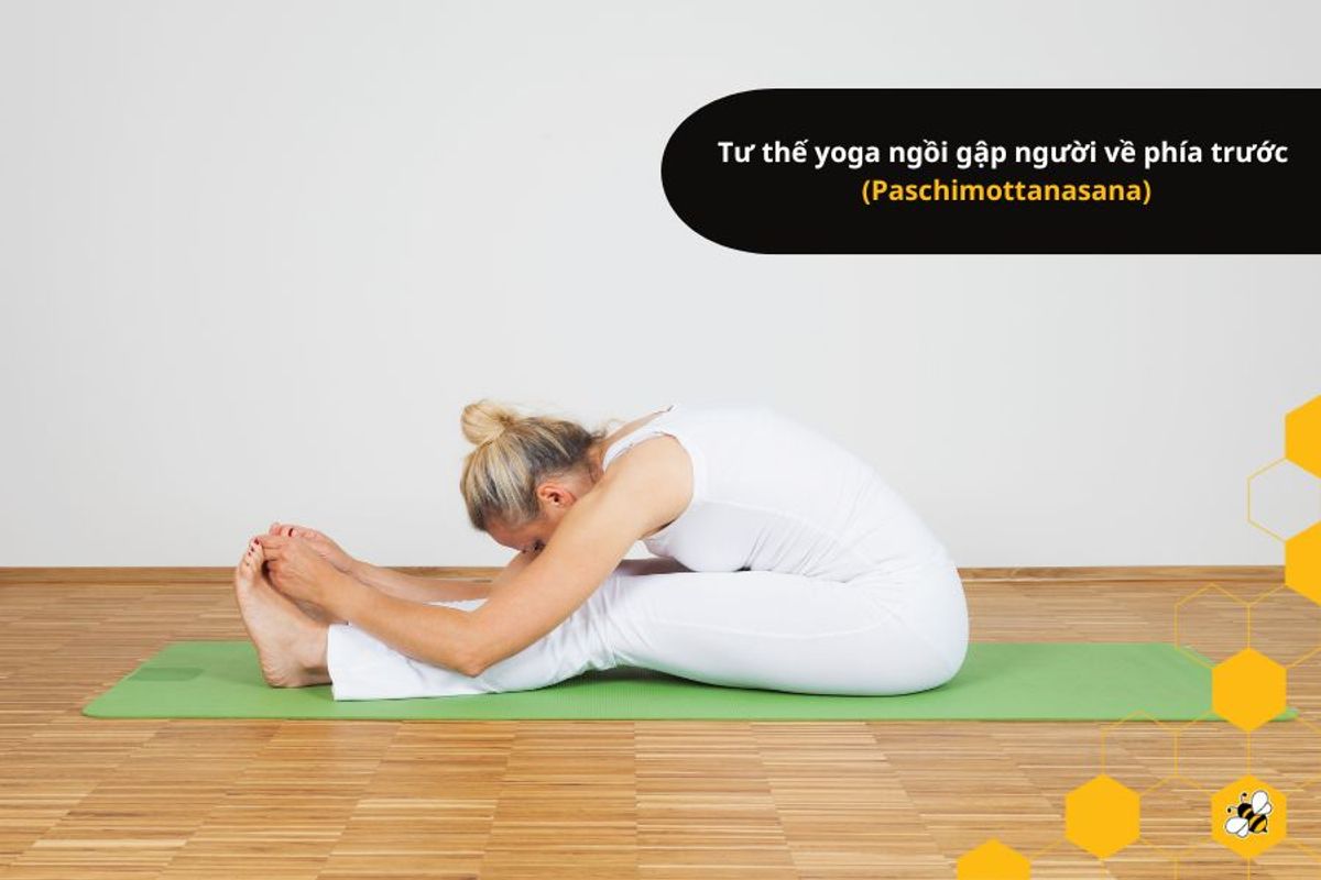 Tư thế yoga ngồi gập người về phía trước (Paschimottanasana)
