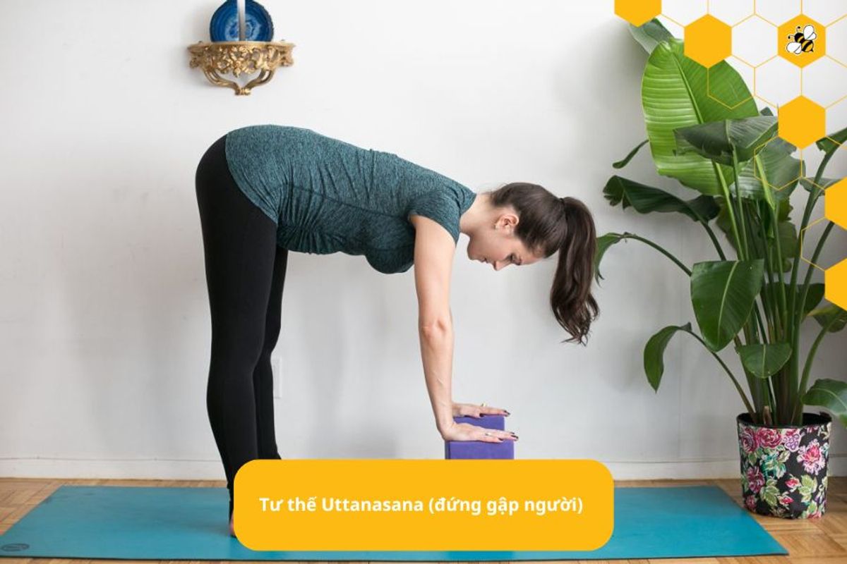 Tư thế Uttanasana (đứng gập người)