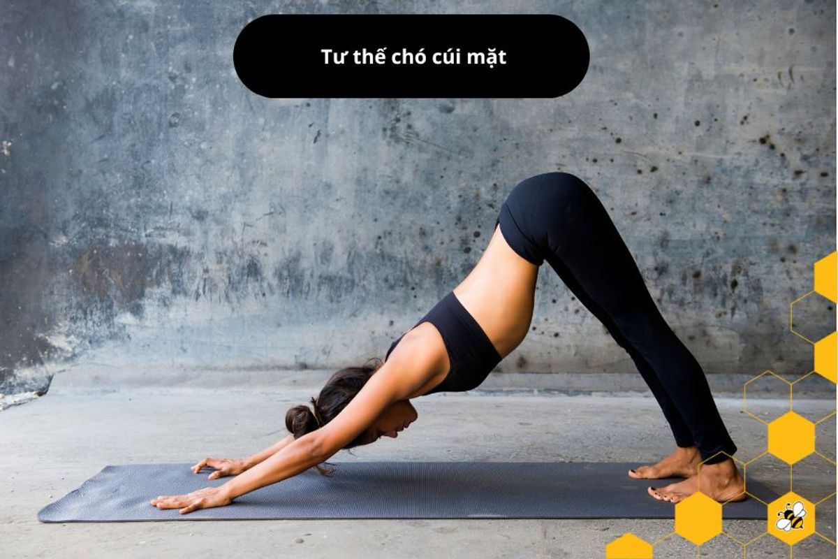 Tư thế chó cúi mặt