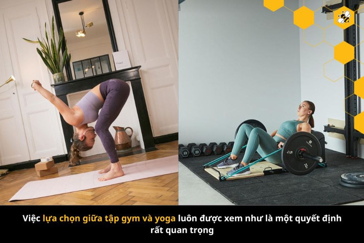 việc lựa chọn giữa tập gym và yoga luôn được xem như là một quyết định rất quan trọng