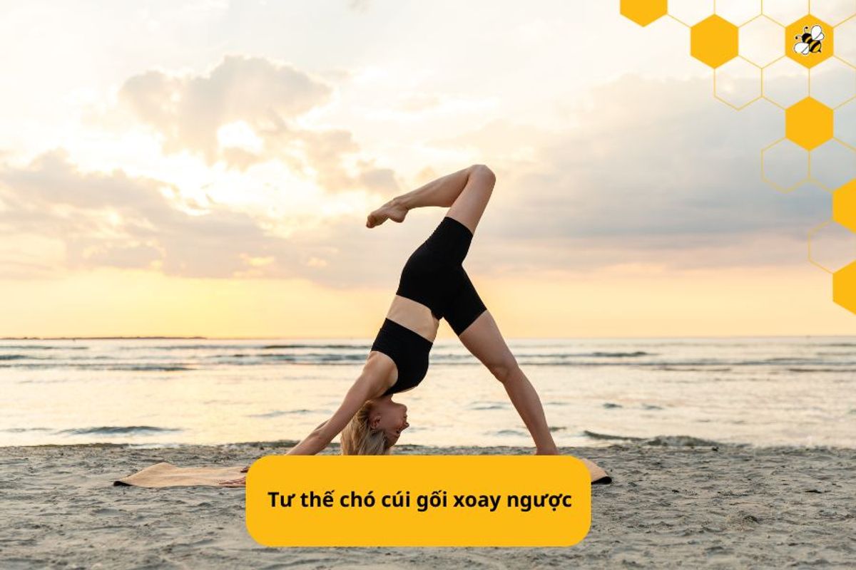 Tư thế chó cúi gối xoay ngược