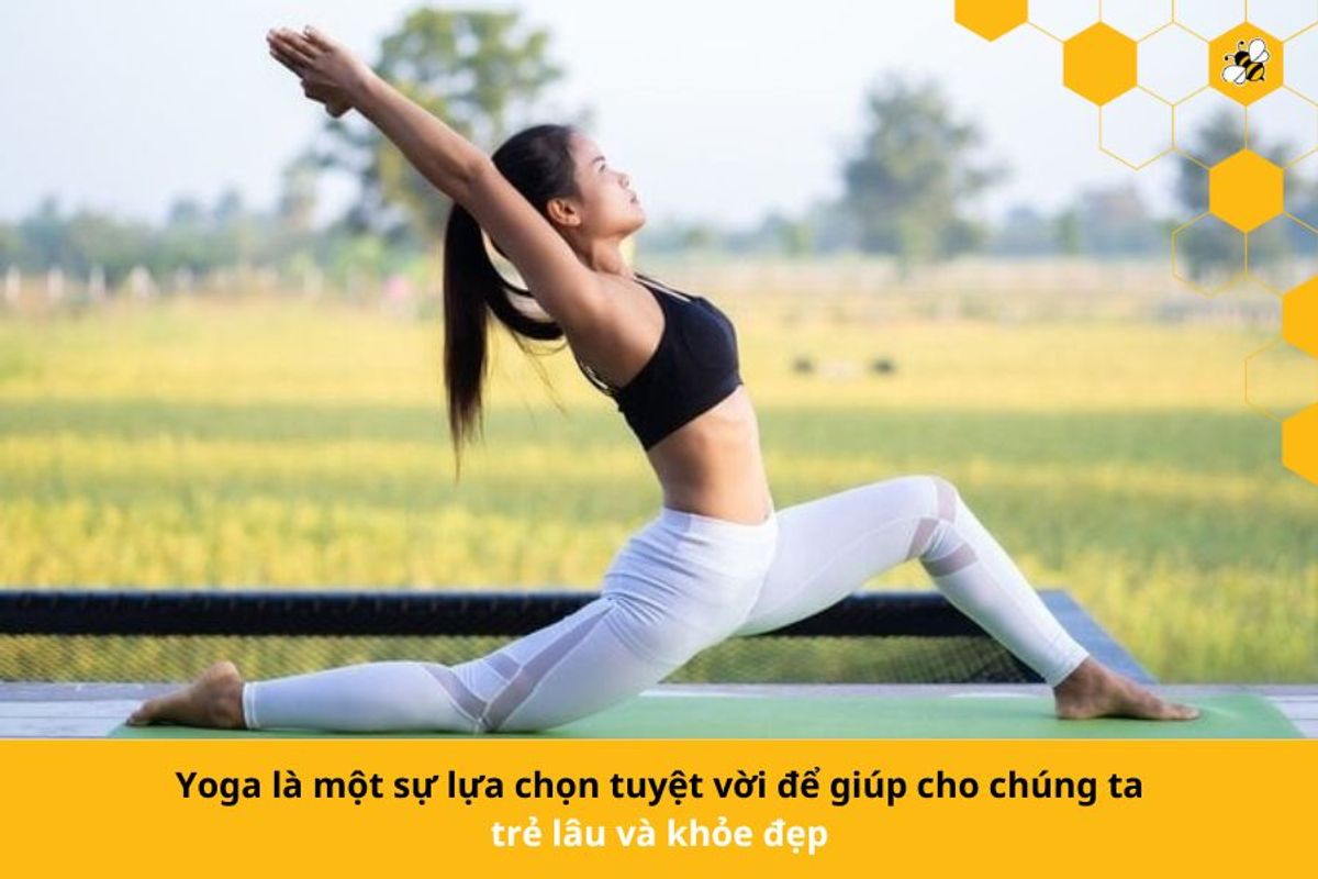 Yoga là một sự lựa chọn tuyệt vời để giúp cho chúng ta trẻ lâu và khỏe đẹp