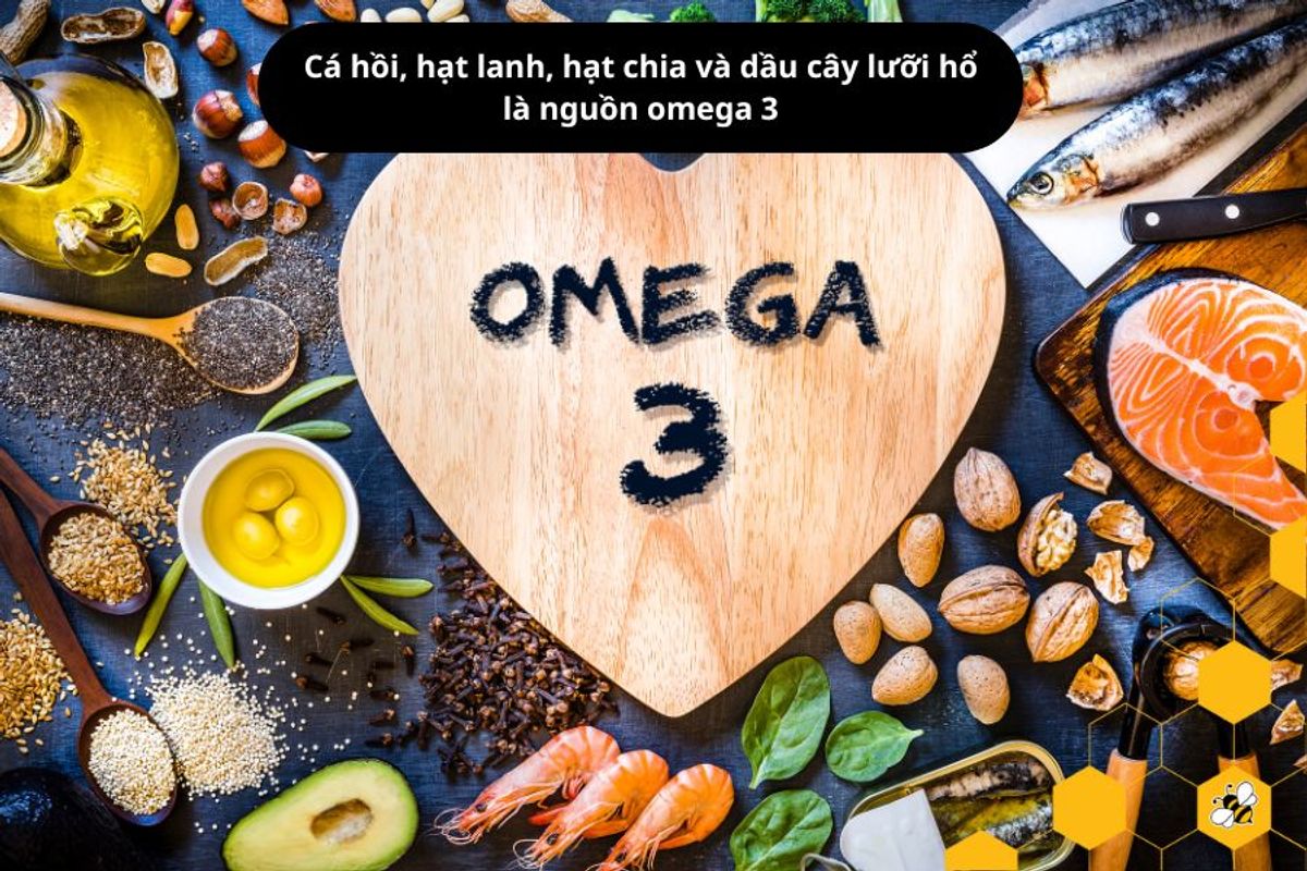 Cá hồi, hạt lanh, hạt chia và dầu cây lưỡi hổ là nguồn omega 3