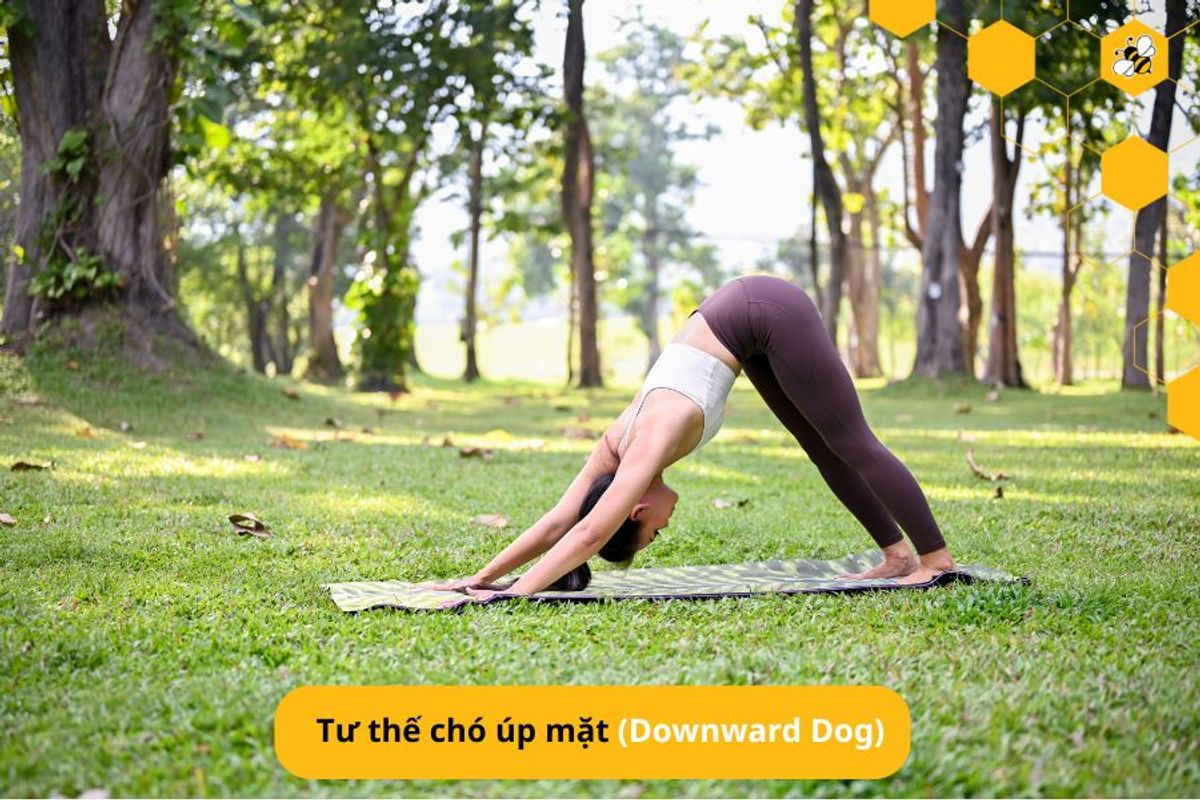 Tư thế chó úp mặt (Downward Dog)