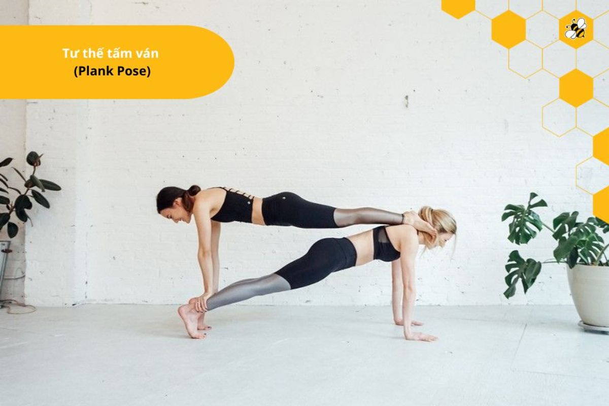 Tư thế tấm ván  (Plank Pose)