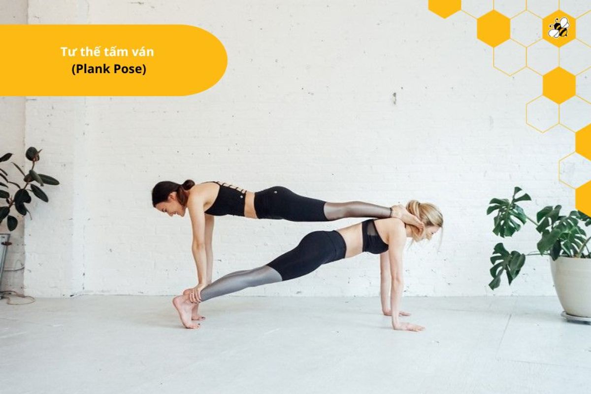 Tư thế tấm ván (Plank Pose)