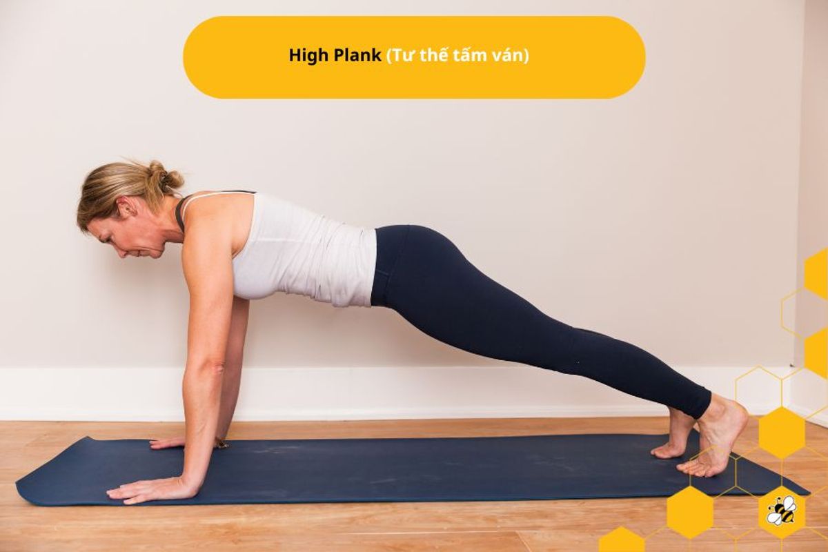 High Plank (Tư thế tấm ván)