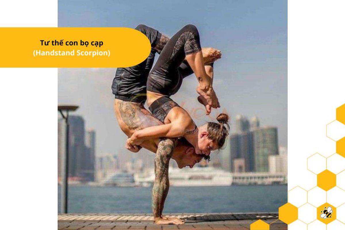 Tư thế con bọ cạp (Handstand Scorpion)