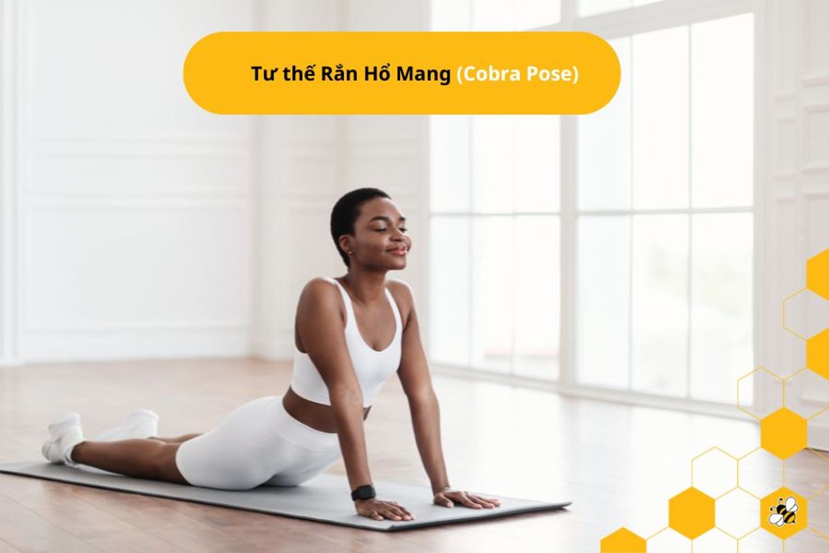 Tư thế Rắn Hổ Mang (Cobra Pose)