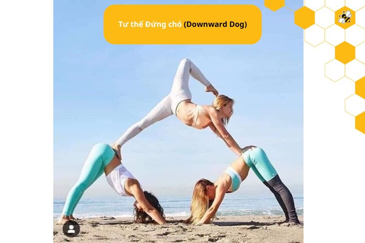 Tư thế Đứng chó (Downward Dog)