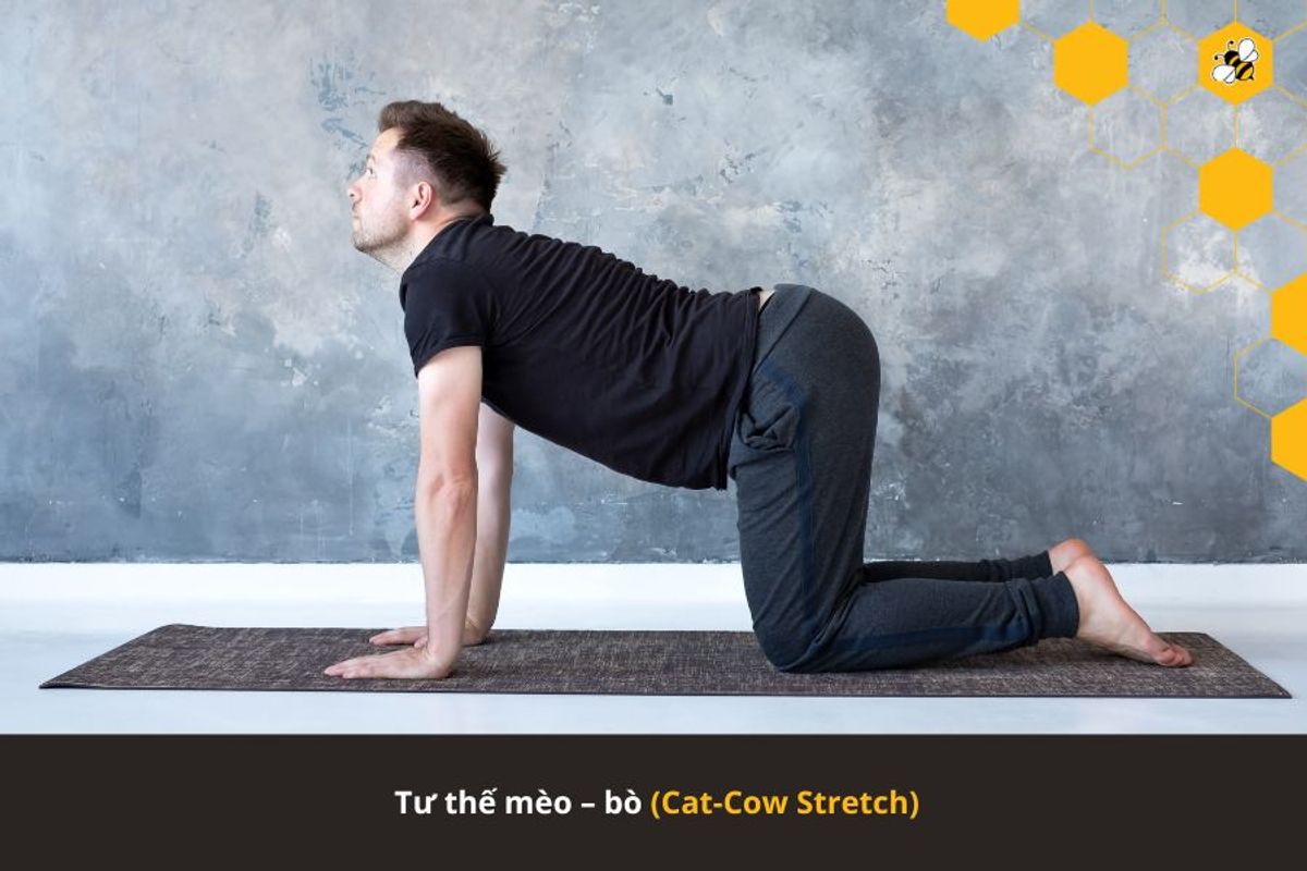 Tư thế mèo – bò (Cat-Cow Stretch)