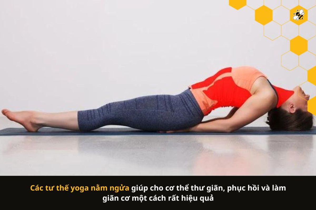 Các tư thế yoga nằm ngửa giúp cho cơ thể thư giãn, phục hồi và làm giãn cơ một cách rất hiệu quả