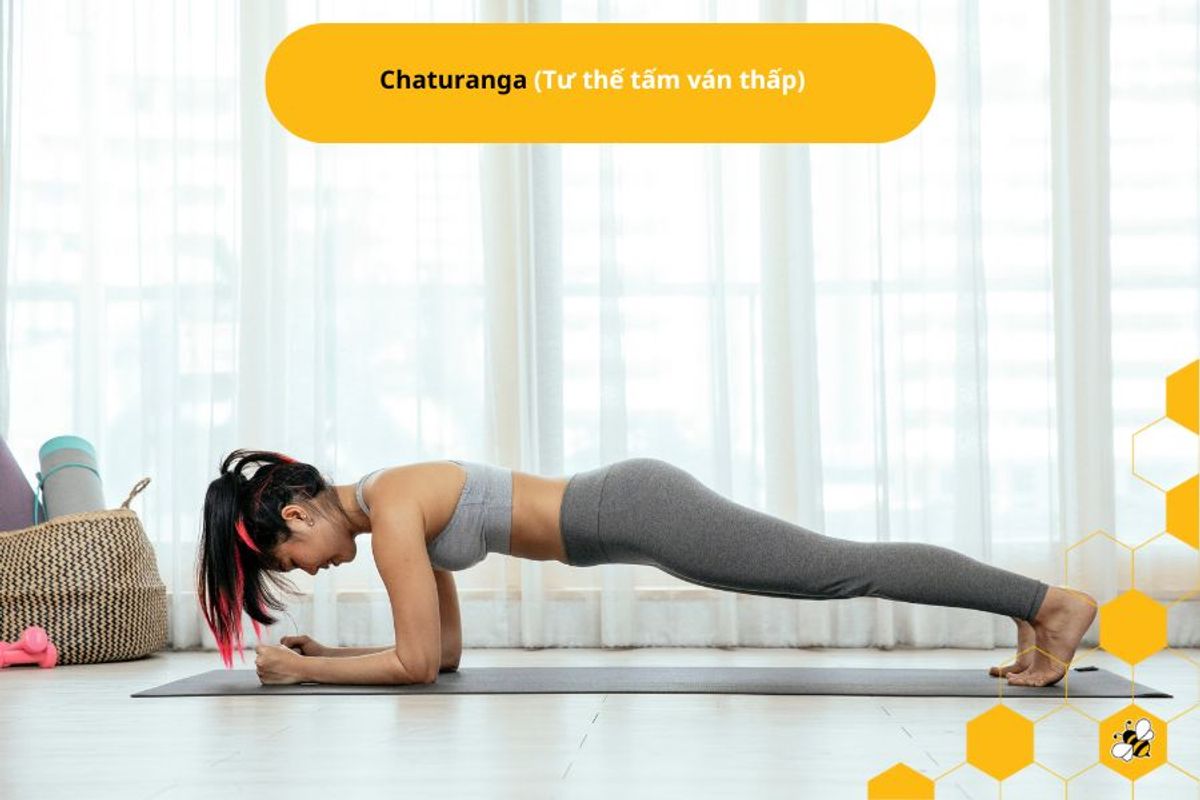 Chaturanga (Tư thế tấm ván thấp)