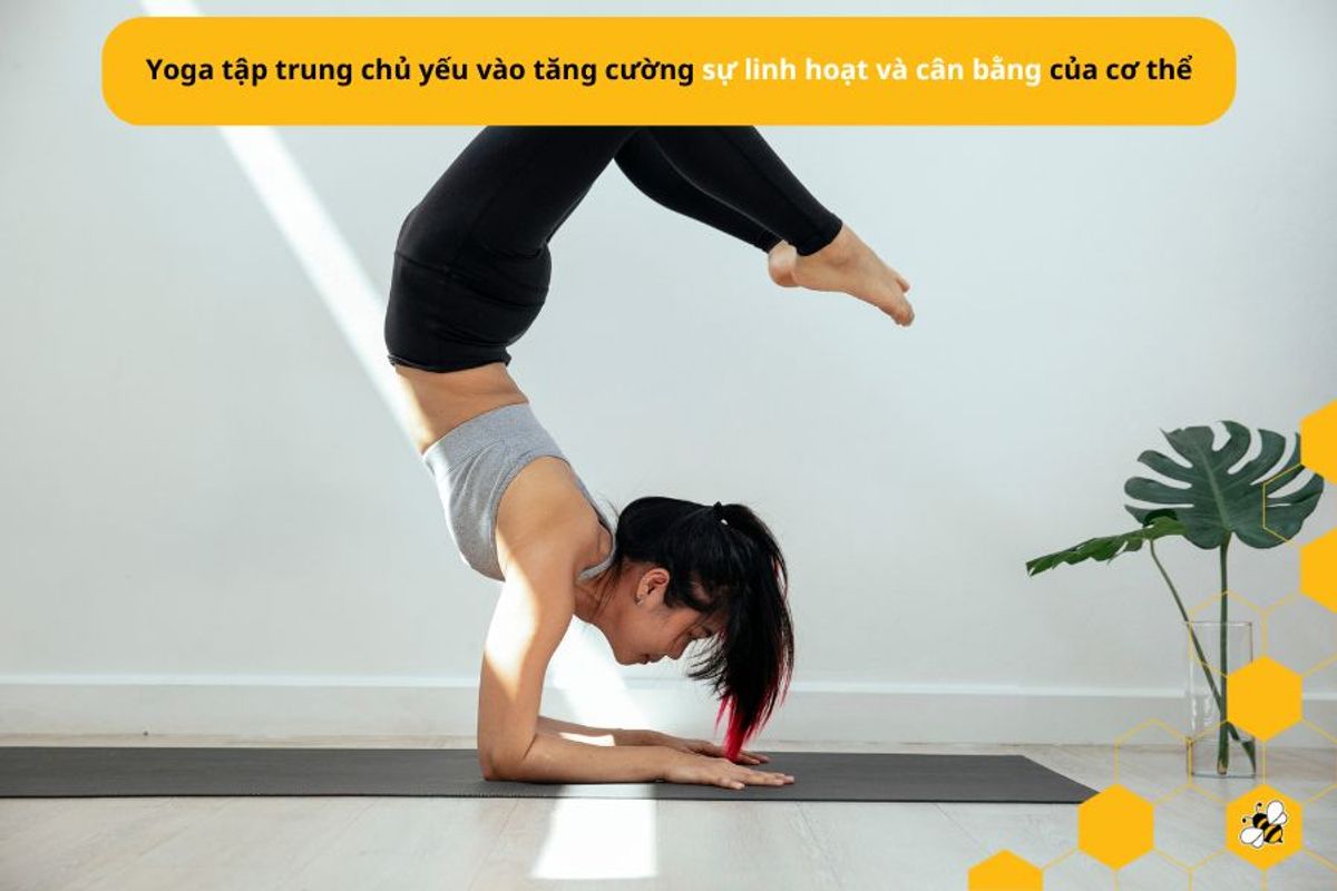 Yoga tập trung chủ yếu vào tăng cường sự linh hoạt và cân bằng của cơ thể