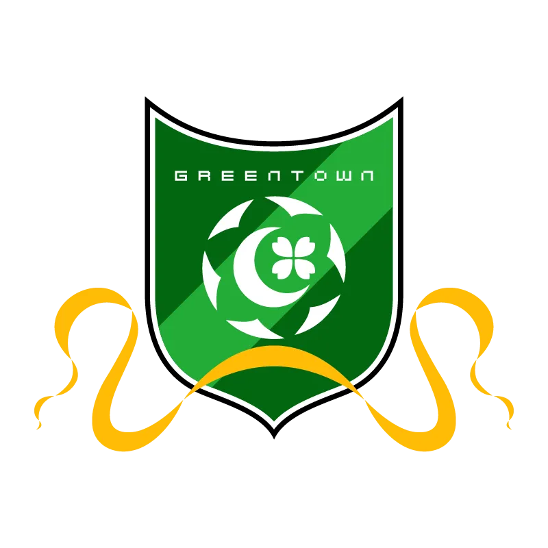 Zhejiang Professional Football Club - v2003