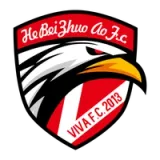 Hebei Zhuoao Football Club - vundefined