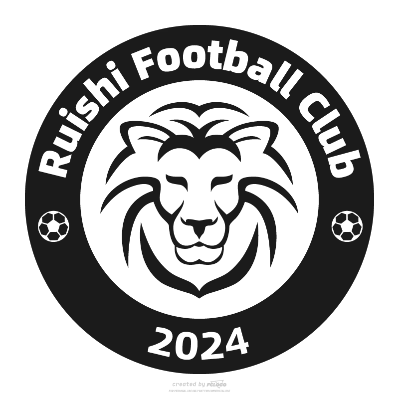 Ganzhou Ruishi Football Club - v2024