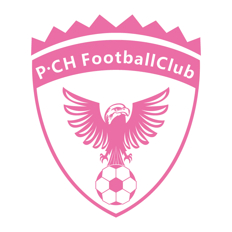 Shenzhen Pengcheng Football Club - v2016