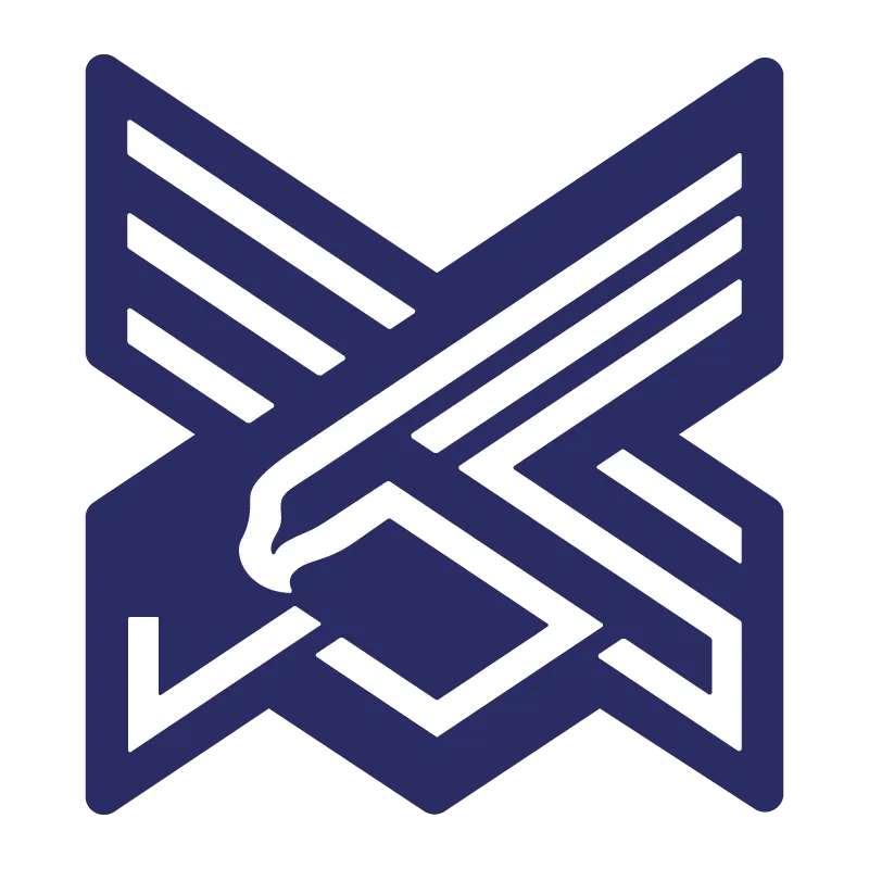 Xinjiang Silk Road Eagles Football Club - v2024