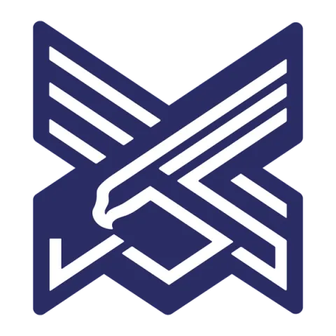 Xinjiang Silk Road Eagles Football Club