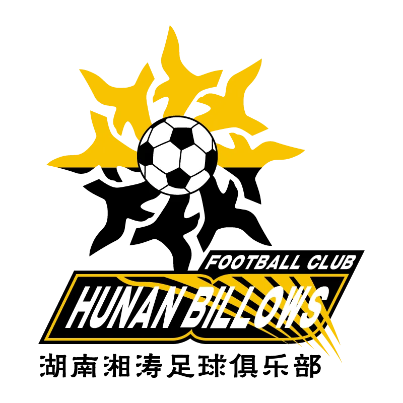 Hunan Billows Football Club - v2007