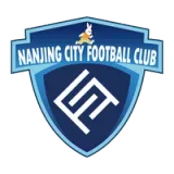 Nanjing City Football Club - vundefined