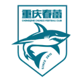 Chongqing Chunlei Football Club - Mono