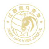 Wenzhou Professional Football Club - vundefined