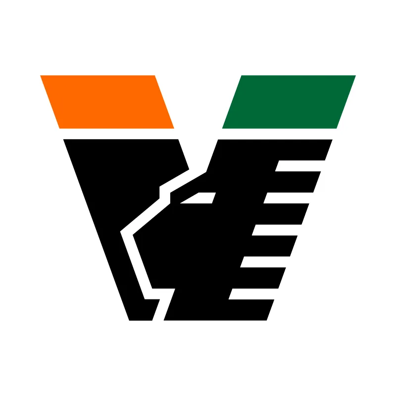 Venezia Football Club - v2026