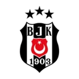 Beşiktaş Jimnastik Kulübü - Color