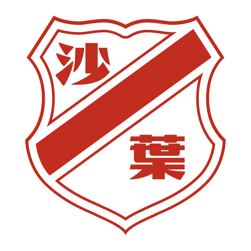 Nanjing Shaye Football Club - v2017