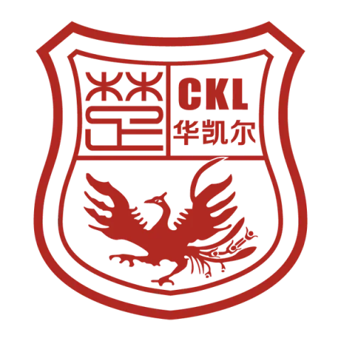 Xinjiang Tianshan Leopard Football Club