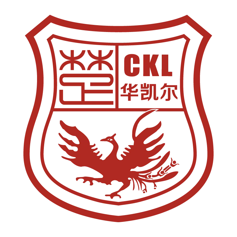 Xinjiang Tianshan Leopard Football Club - v2012