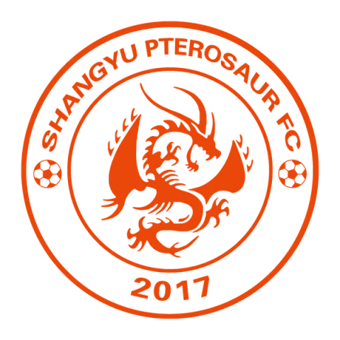 Ganzhou Ruishi Football Club