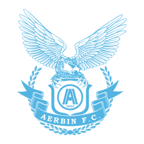 Dalian Professional Football Club