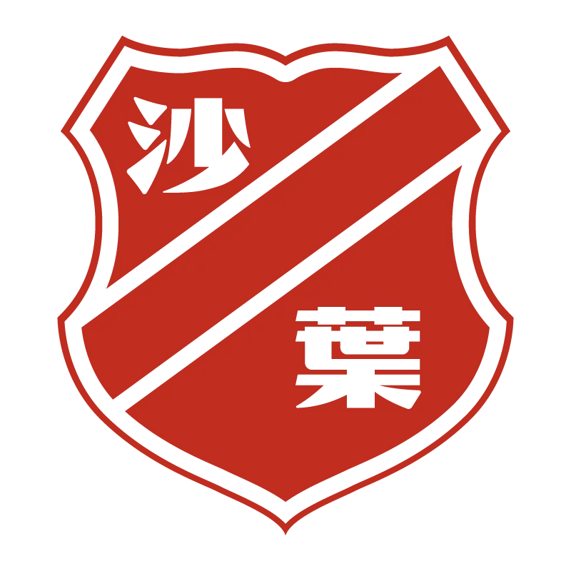 Nanjing Shaye Football Club - v2017