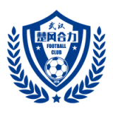 Hubei Istar Football Club - vundefined