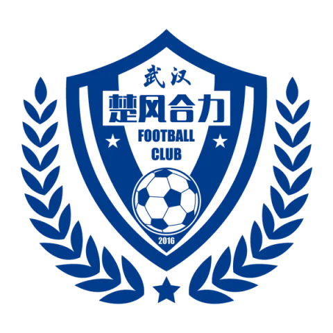 Hubei Istar Football Club