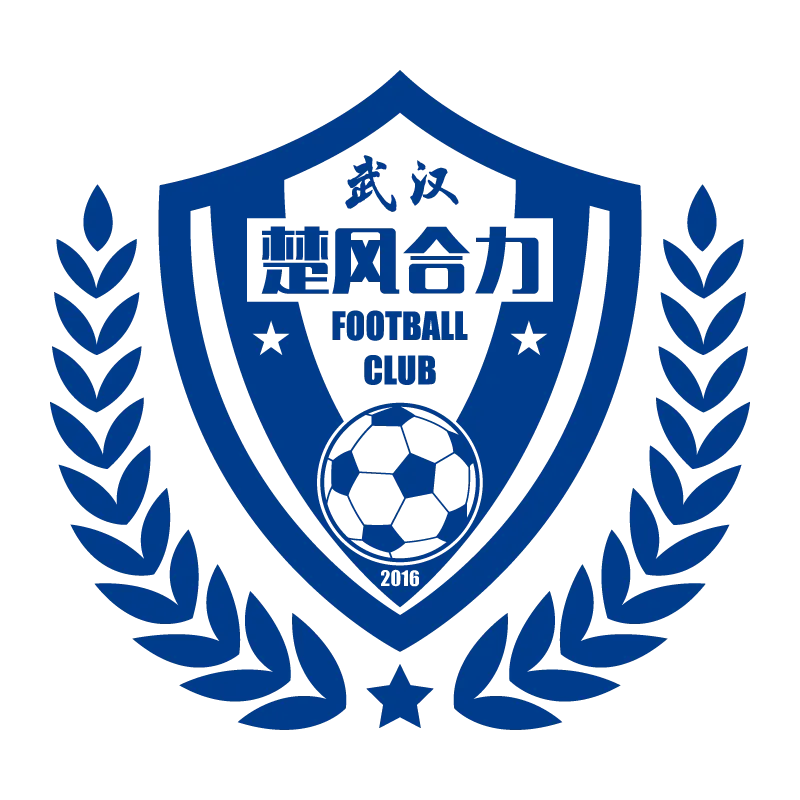 Hubei Istar Football Club - v2016