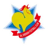 Shanghai Shenxin Football Club - vundefined