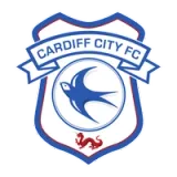Cardiff City Football Club - Color